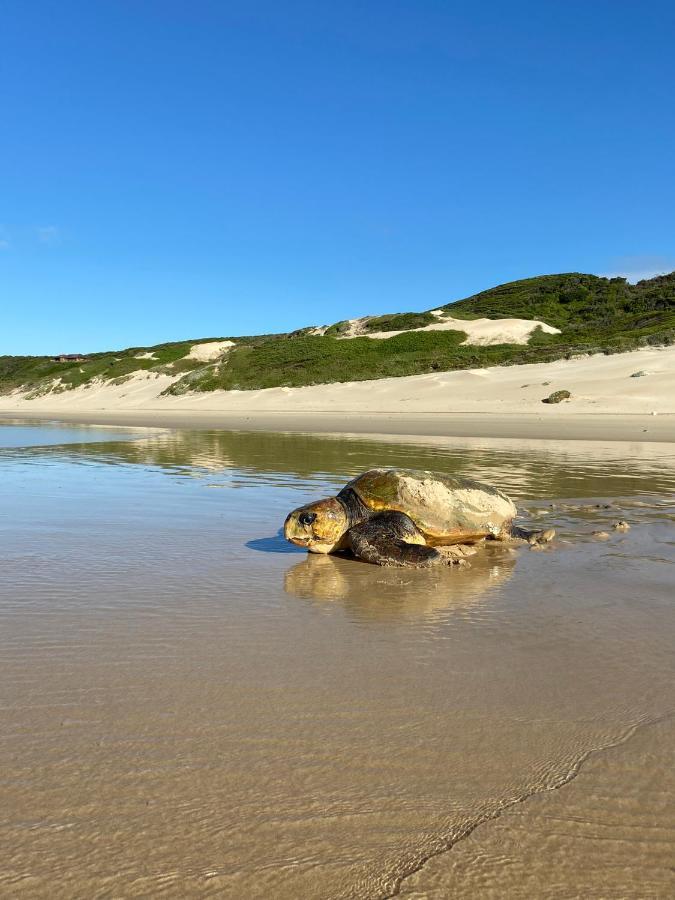 Soutelande Country Stay - Close To 1#Beach In Pe Port Elizabeth Exterior photo