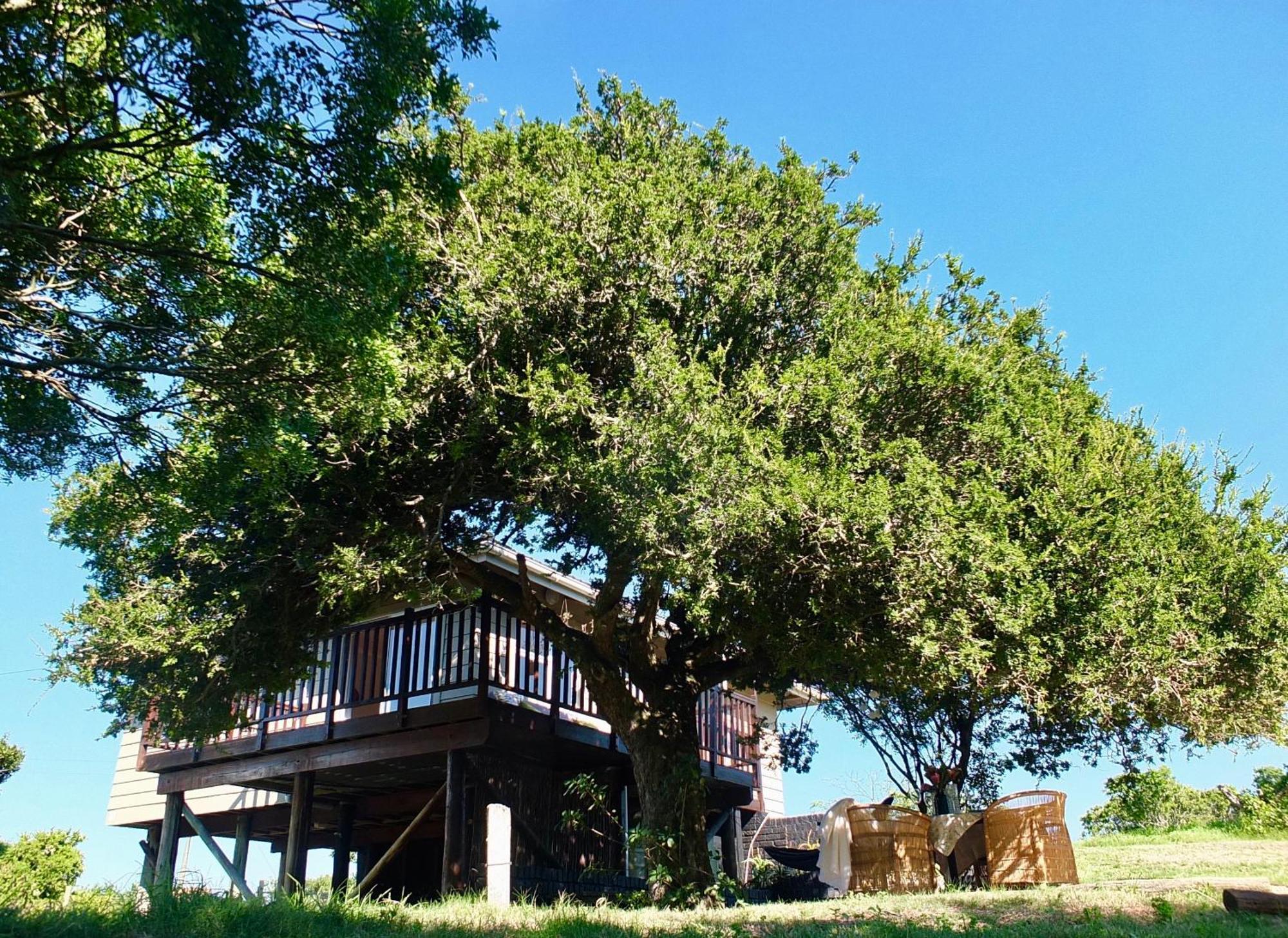 Soutelande Country Stay - Close To 1#Beach In Pe Port Elizabeth Exterior photo