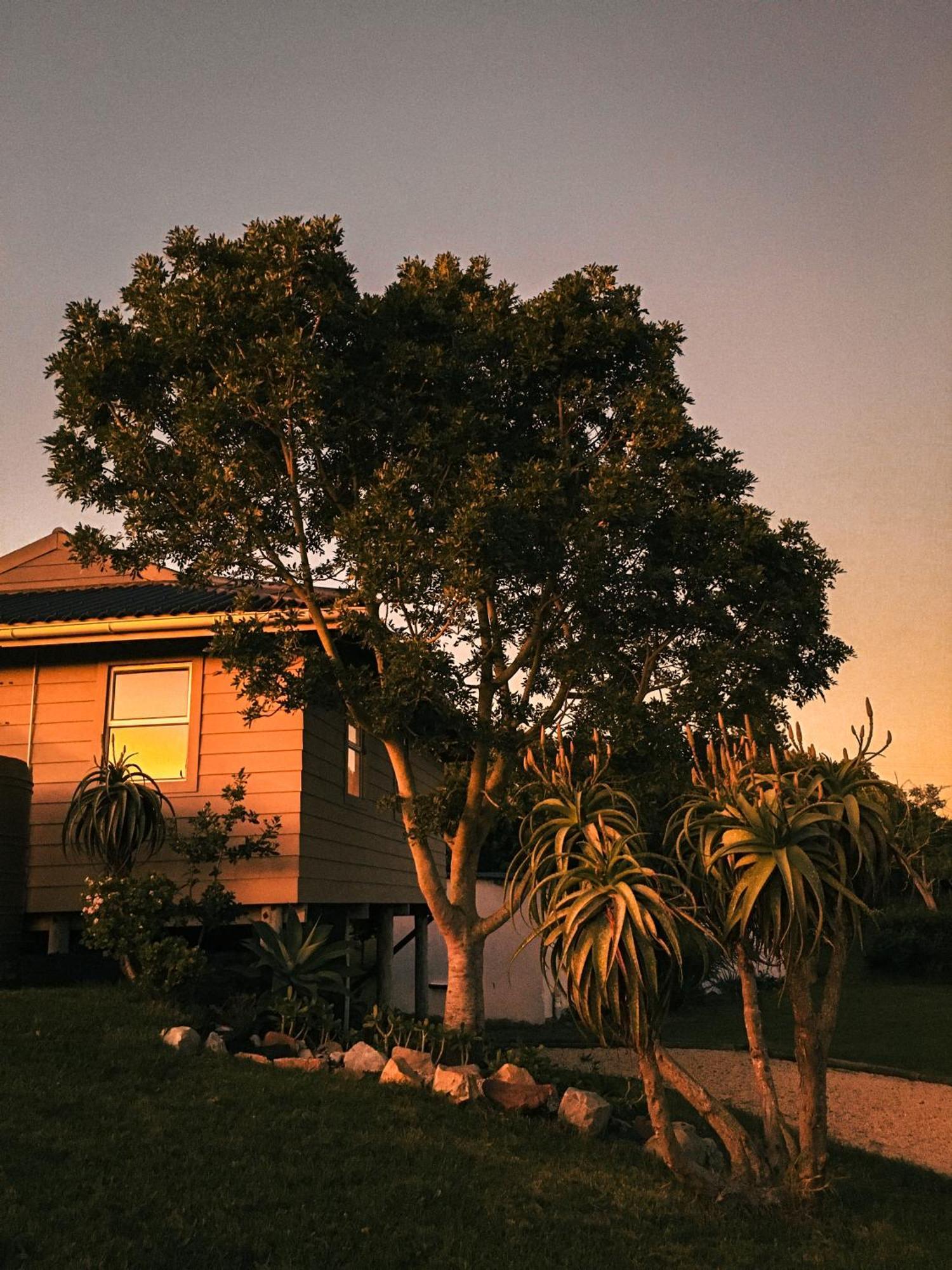 Soutelande Country Stay - Close To 1#Beach In Pe Port Elizabeth Exterior photo